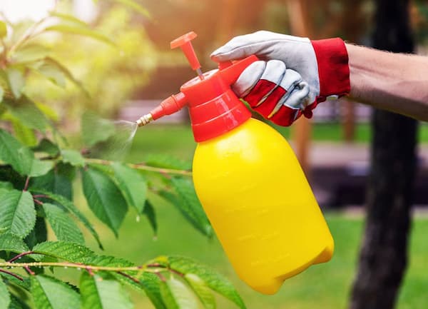 قیمت سم‌پاش دستی باغ و مزرعه با کیفیت ارزان + خرید عمده